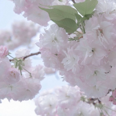 武昌福瑞交流群